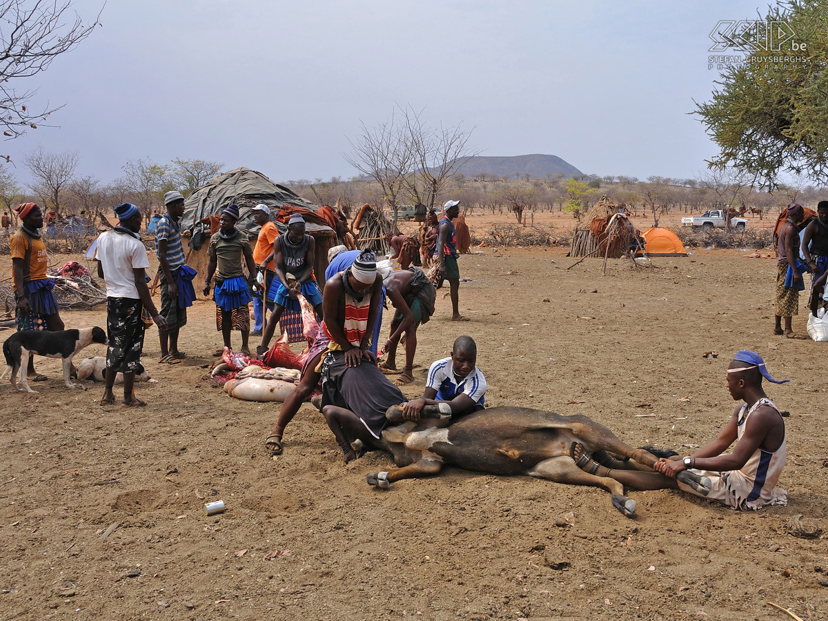 Omangete - Himba mannen Ten noorden van het stadje Opuwo brengen we een bezoek aan het afgelegen Himba dorp Omangete. De Himba zijn de laatste semi-nomadische stam in Namibië. Zij wonen in de regio Kunene/Kaokoland in het noorden van Namibië tegen de grens met Angola. Het zijn jagers en verzamelaars en zij hoeden runderen, schapen en geiten en telen ook een paar gewassen.<br />
<br />
Leden van een enkele familie leven typisch in een iglo-vormige hut genaamd 'onganda'. De kleine Himba dorpen hebben een centrale omwalling voor het vee dat 'kraal' wordt genoemd.<br />
<br />
De belangrijkste taak van de mannen is het hoeden van het vee. Tijdens ons bezoek zijn de mannen enkele koeien aan het slachten voor een begrafenis. Stefan Cruysberghs